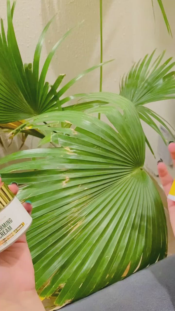 fallback text for a video