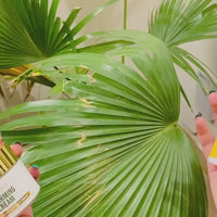 fallback text for a video